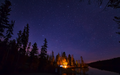 Ten Strategies To Help Maintain Weight Loss