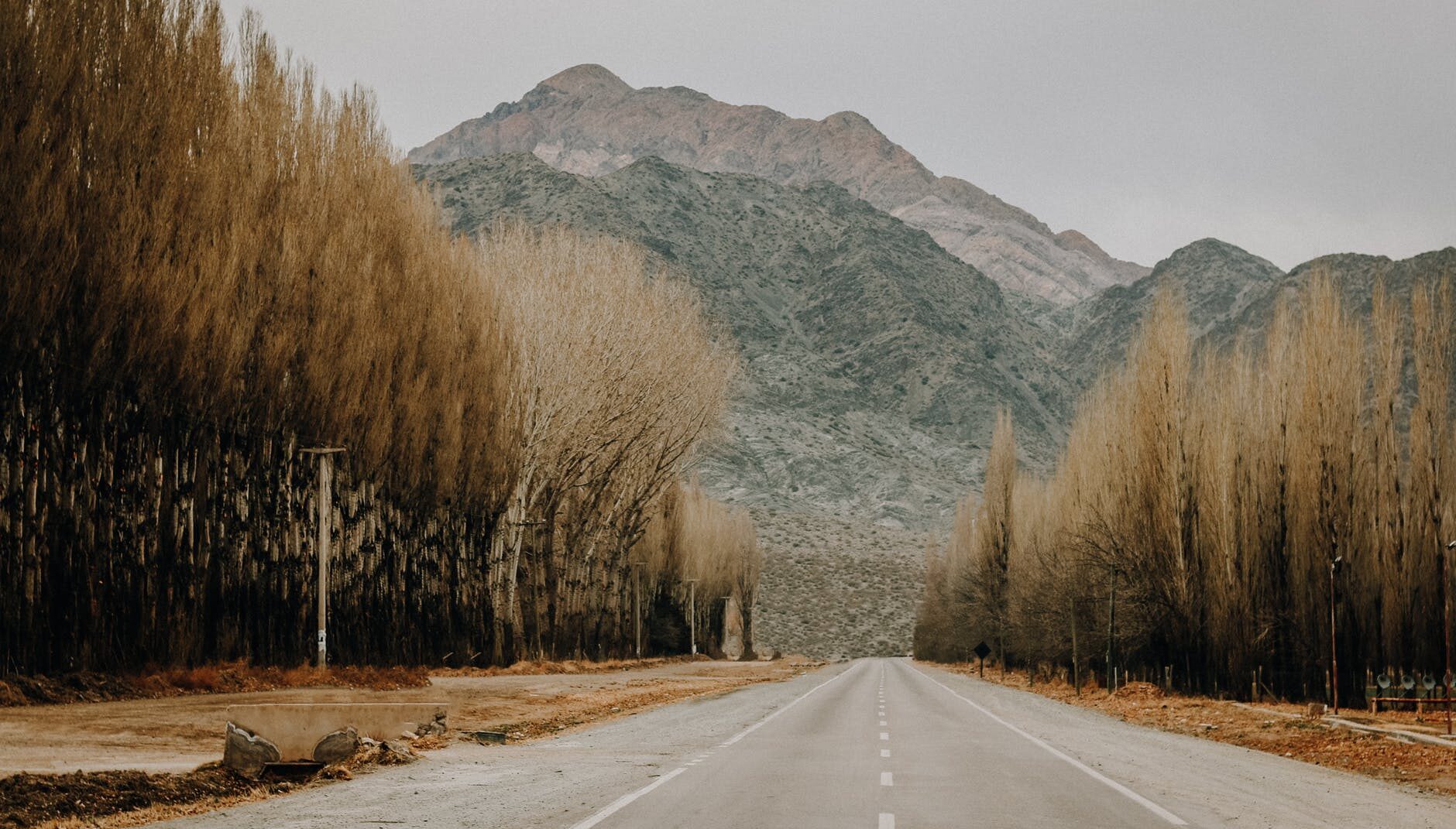 Road with mountains and trees behind it.