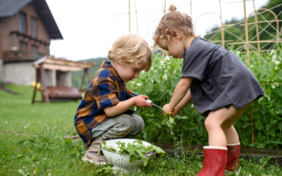 How to Make Vegetables an Easy Choice at Home